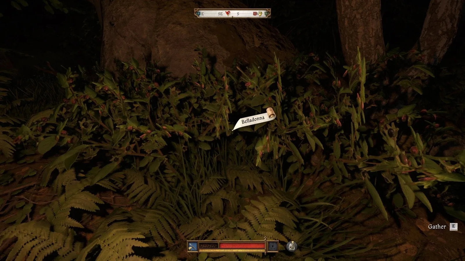 KCD2 belladonna-planten in het wild